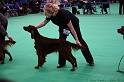 Crufts2011 353